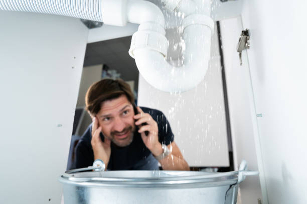Best Sewer Cleaning Services  in Redwood Falls, MN