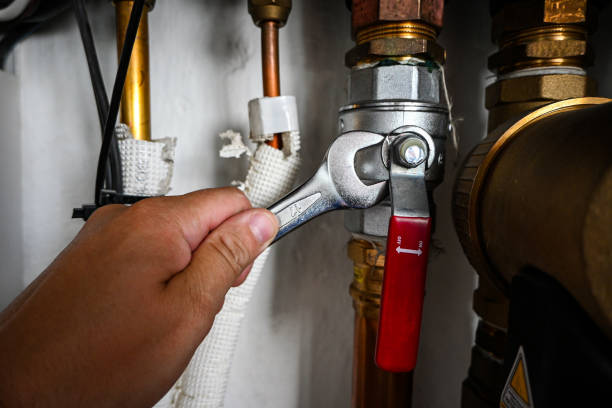 Best Leak Detection Services  in Redwood Falls, MN